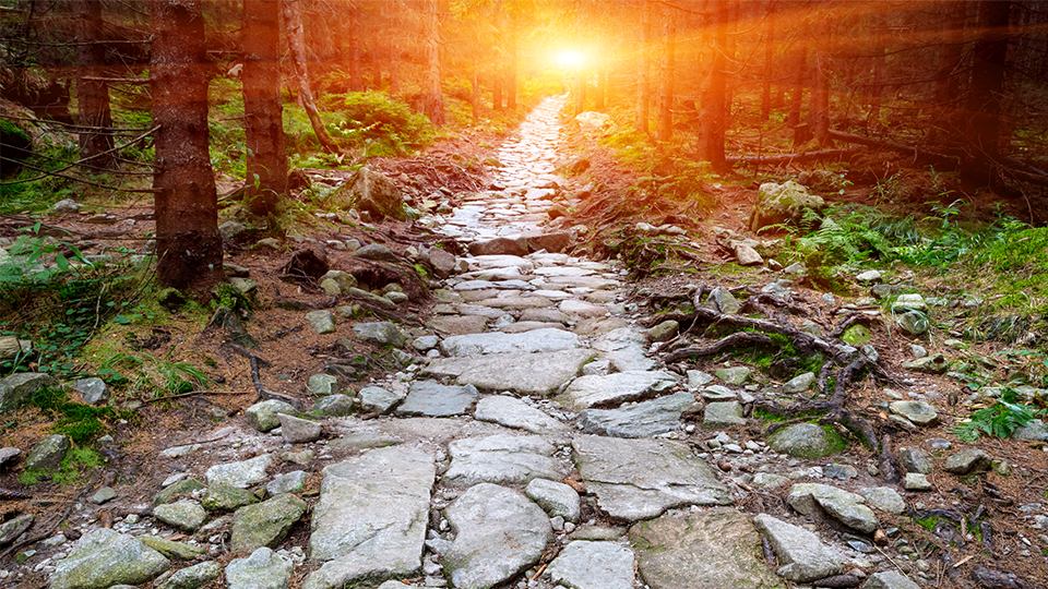 LernPfadLeben lebenslanges lernen